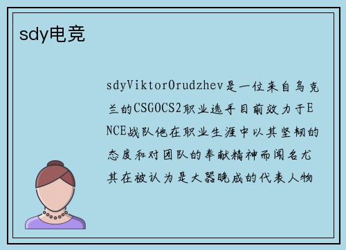 sdy电竞