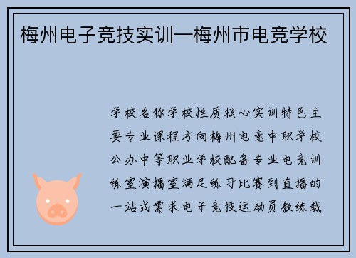 梅州电子竞技实训—梅州市电竞学校